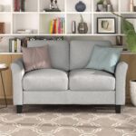 WIIS' IDEA™ Fabric Loveseat Sofa For Living Room - Light Grey